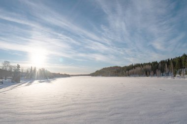 Çam ağacının manzaralı görüntüsü. Mavi bulut gökyüzü, sakin kış manzarası. Kayak merkezi. Vahşi bölgenin harika bir resmi. Toprağın güzelliğini keşfedin. Turizm konsepti. Noel ve Mutlu Yıllar!