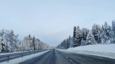4K süratle karla kaplı yolda bir gezinti. Çam ağaçlarının tepesinde açık gökyüzü ışığı. Kış manzarasında araba sürüşünün hipersürat kamerası görüntüsü.