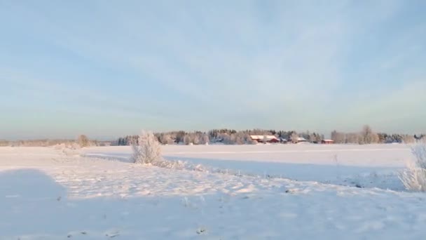 在4K时差的情况下在白雪覆盖的路上开车 清澈的天空 阳光普照在松树顶上 冬季景观下汽车驾驶的超差凸轮视图 — 图库视频影像