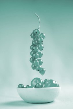 Kırmızı akım dut ve temiz bir arka plan. Beyaz kasede olgun bitki yemişleri var. Taze dut dalları, kopyalama alanı.