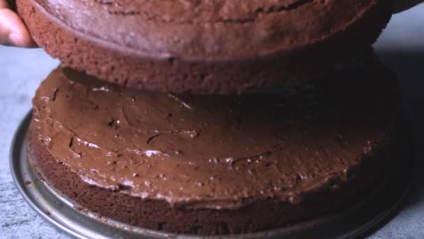 Жіночі Невідомі Руки Кондитерських Кішок Прикрашають Шоколадний Пиріг Шоколадним Кремом — стокове відео