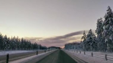 4K süratle karla kaplı yolda bir gezinti. Çam ağaçlarının tepesinde açık gökyüzü ışığı. Kış manzarasında araba sürüşünün hipersürat kamerası görüntüsü.