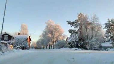 4K süratle karla kaplı yolda bir gezinti. Çam ağaçlarının tepesinde açık gökyüzü ışığı. Kış manzarasında araba sürüşünün hipersürat kamerası görüntüsü.