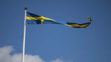 Swedish flags waving with the wind flow under the blue sky for national day celebration and symbol of european union. Swedish National day, midsummer. Slowmotion video with copyspace.