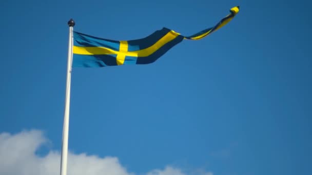 Swedish Flags Waving Wind Flow Blue Sky National Day Celebration — Stockvideo