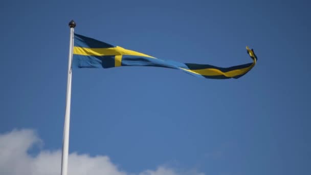 Σουηδικές Σημαίες Κυματίζουν Τον Άνεμο Κυματίζει Κάτω Από Τον Γαλάζιο — Αρχείο Βίντεο
