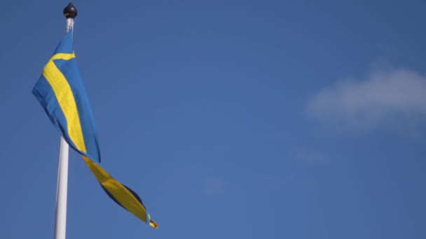 Swedish Flags Waving Wind Flow Blue Sky National Day Celebration — Stockvideo