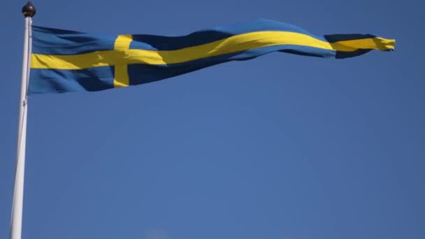 Σουηδικές Σημαίες Κυματίζουν Τον Άνεμο Κυματίζει Κάτω Από Τον Γαλάζιο — Αρχείο Βίντεο
