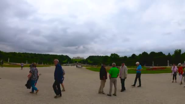 Timelapse Schonbrunn Palace Beautiful Floral Garden Timelapse Vienna Austria Blue — Video Stock