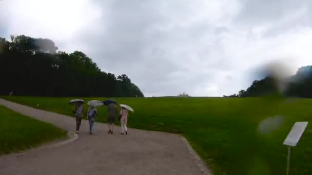 Timelapse Schonbrunn Palace Beautiful Floral Garden Timelapse Віденська Австрія Блакитне — стокове відео