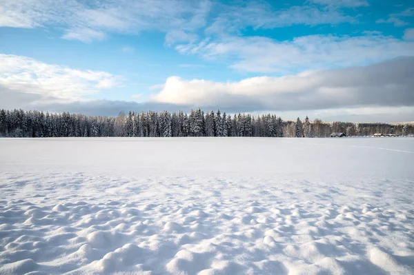 Szenisches Bild Von Fichten Bewölkter Blauer Himmel Ruhige Winterliche Szenerie Stockbild