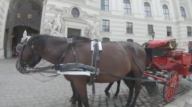 Vienna, Austria - June 6, 2022. 4K Street horse riding view, Wien, Vienna Austria. Blue sky with clouds on cloudy tourist day. Evening and historic buildings.