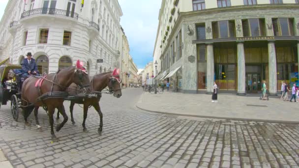 Vienna Austria June 2022 Street Horse Riding View Wien Vienna — 비디오