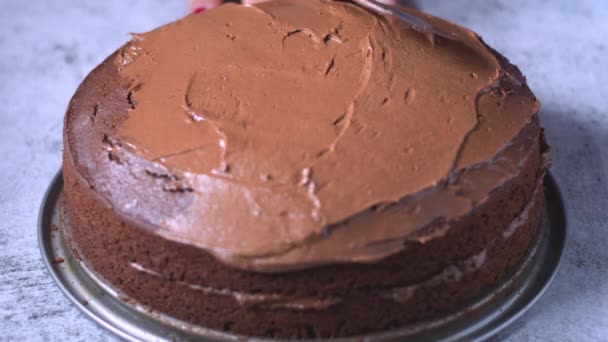 Mani Panettiere Femminili Decorano Torta Brownie Cioccolato Con Crema Cioccolato — Video Stock