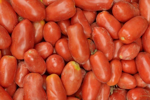 Tomatoes — Stock Photo, Image