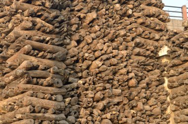 yığılmış yakacak odun