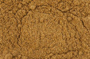 zemin kişniş tohumu makro