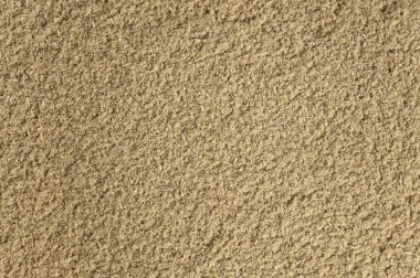 zemin adaçayı yaprağı