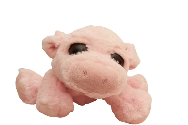 핑크 돼지 인형된 — 스톡 사진