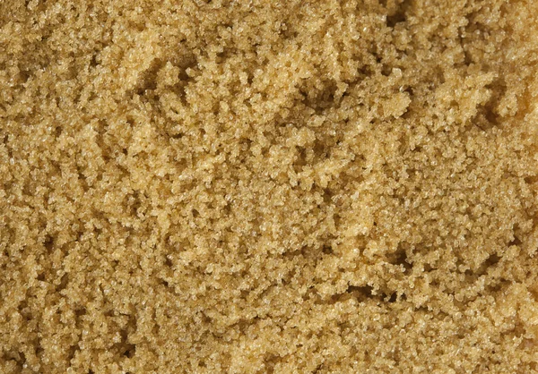 Makro australijski brązowego cukru — Zdjęcie stockowe