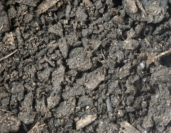 Potting gleby makro — Zdjęcie stockowe