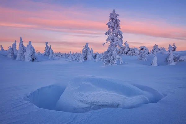 Bosque Nieve Montañas Khibiny Región Murmansk Rusia — Foto de Stock