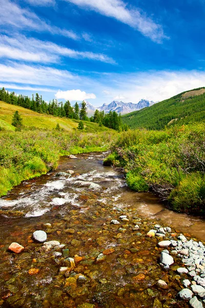 dağ nehir. sonbahar Altay Dağları.