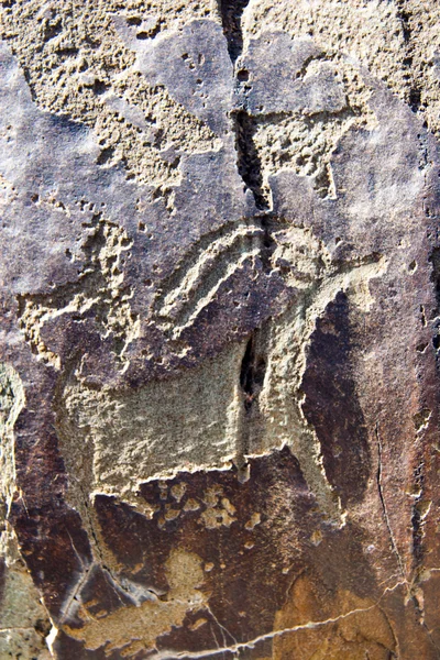 Image of deer hunting, embossed on the stone. — Stock Photo, Image