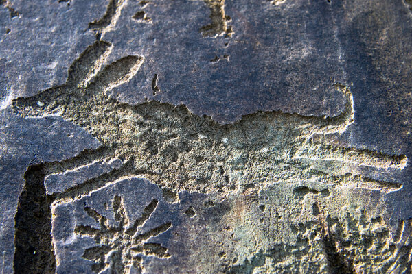 Изображение бегущей собаки, тиснутой на камне
.