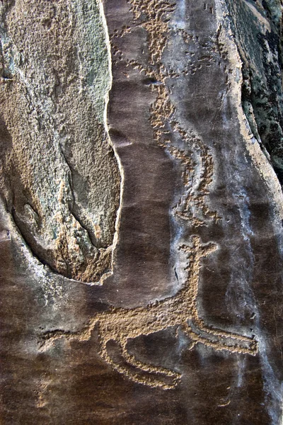 ateş, taş desenli spewing geyik.