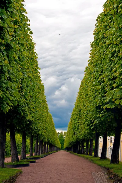 C'est un jeu de hasard, c'est un jeu de hasard, c'est un jeu de hasard. Photo De Stock