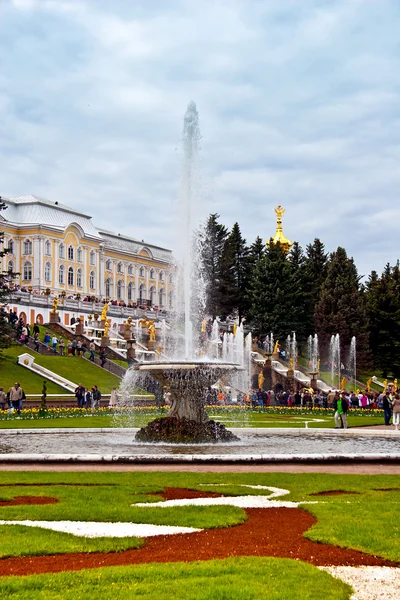 Art arda sıralı çeşmeler, peterhof.