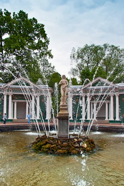 Le Musée d'Etat-Réserve Peterhof. Saint-Pétersbourg . — Photo