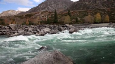 nehir katun. dağ Altay.