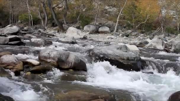 Flusskatun. Bergaltai. — Stockvideo