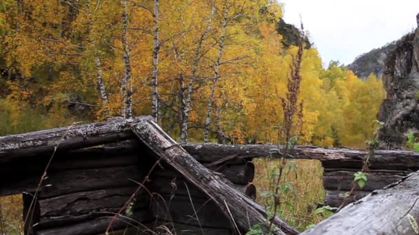 Una vieja choza cazadores locales. Siberia Occidental . — Vídeo de stock