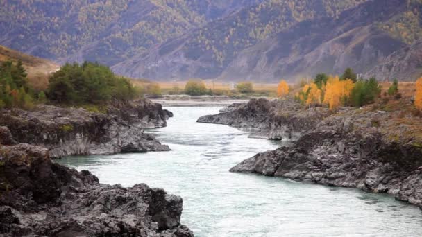 Flusskatun. Bergaltai. — Stockvideo