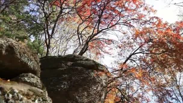 Blick vom Berg auf eine kleine Kirche. belokurikha. Bergaltai. — Stockvideo