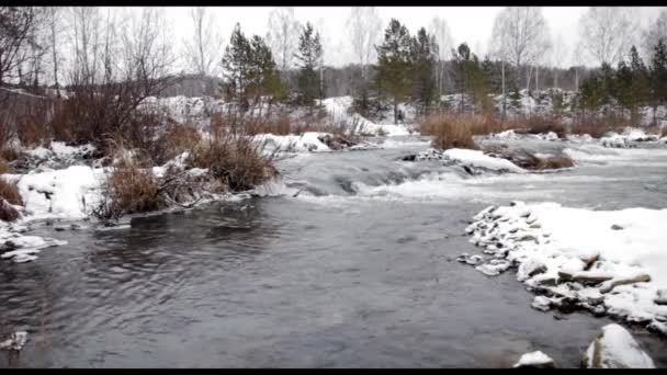 Zvuky a hluk ledové vody z řeky suenga. Západní Sibiř. — Stock video