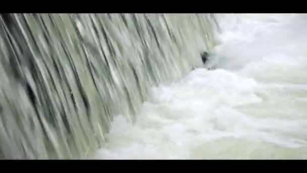 Geluiden en lawaai ijswater van de rivier suenga. West-Siberië. — Stockvideo