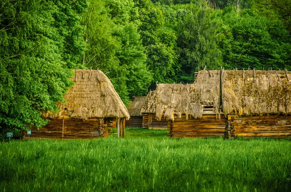 Hagyományos ukrán falu — Stock Fotó