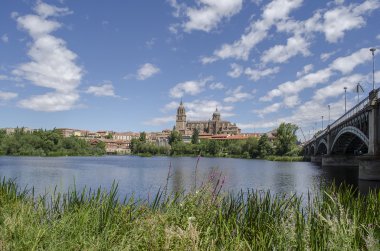 Salamanca katedraller