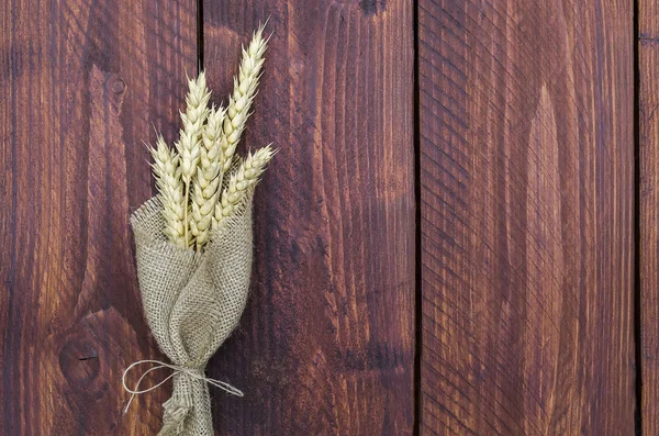 Пшеничные стебли — стоковое фото
