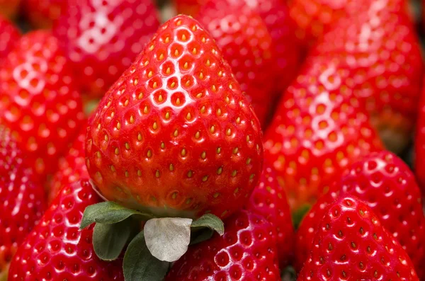 Freshstrawberries — Stockfoto