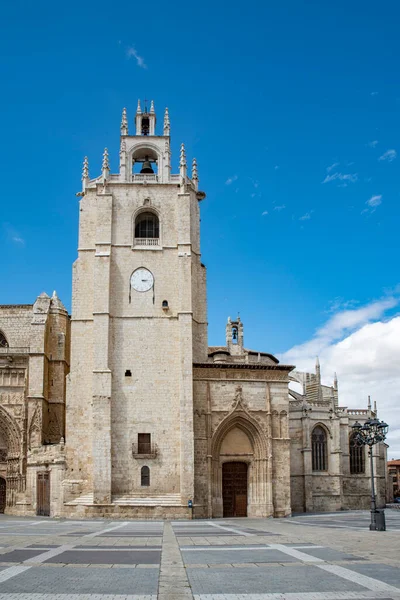 San Antonio Palencia Katedrali Gotik Stil Tarihi Sanatsal Anıt — Stok fotoğraf