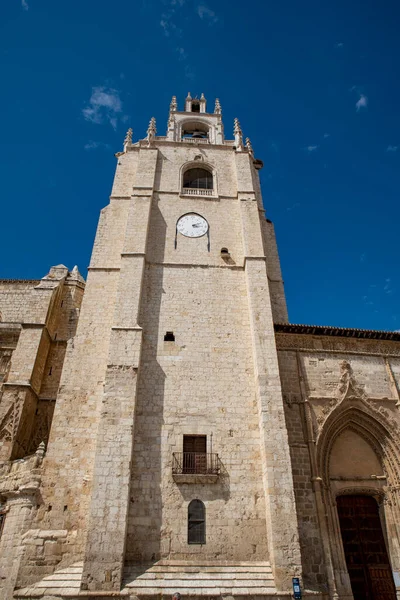 San Antonio Palencia Katedrali Gotik Stil Tarihi Sanatsal Anıt — Stok fotoğraf