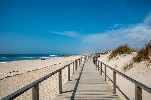 Mavi gökyüzü, ahşap patika ve kumulları olan sahil Aveiro, Portekiz