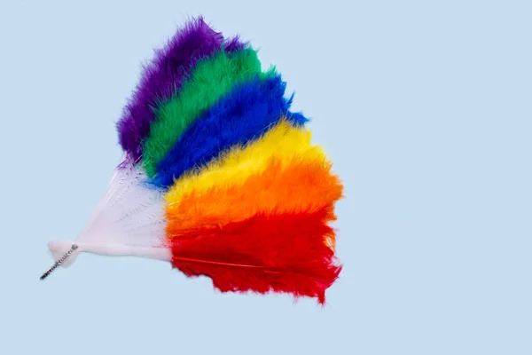 Lgbtqia Rainbow Feather Fan Light Background Space Copy — Stock Photo, Image