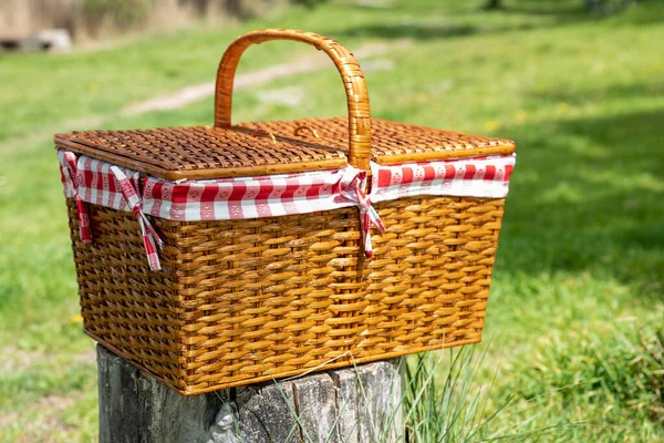 Picknickkorb Auf Einem Holzstamm Einem Feld — Stockfoto
