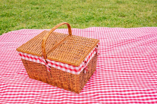 Cesta Piquenique Uma Toalha Mesa Chequered Vermelha Campo Gramado — Fotografia de Stock